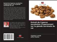 Borítókép a  Extrait de Cyperus esculentus (Cyperaceae) sur la glande surrénale du rat - hoz