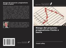 Bookcover of Riesgo del proyecto: pragmatismo frente a teoría
