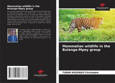 Mammalian wildlife in the Bulanga-Mpey group kitap kapağı