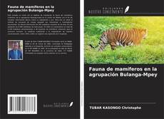 Обложка Fauna de mamíferos en la agrupación Bulanga-Mpey