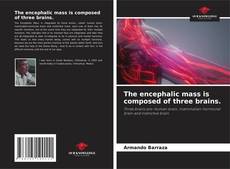 Couverture de The encephalic mass is composed of three brains.