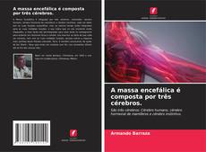Copertina di A massa encefálica é composta por três cérebros.