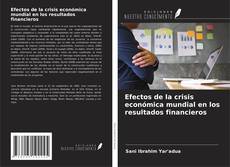 Bookcover of Efectos de la crisis económica mundial en los resultados financieros
