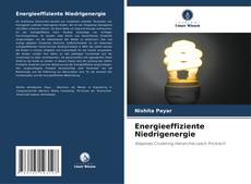 Energieeffiziente Niedrigenergie kitap kapağı