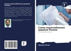 Bookcover of Схема водоснабжения деревни Рохини