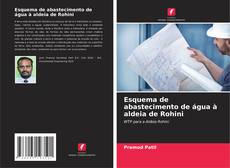 Copertina di Esquema de abastecimento de água à aldeia de Rohini