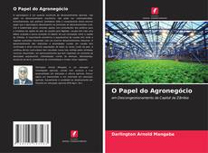 Buchcover von O Papel do Agronegócio