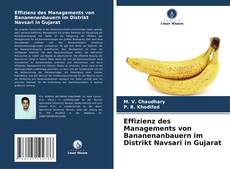 Buchcover von Effizienz des Managements von Bananenanbauern im Distrikt Navsari in Gujarat