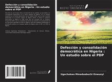Buchcover von Defección y consolidación democrática en Nigeria : Un estudio sobre el PDP