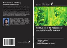Bookcover of Evaluación de híbridos y selecciones de mango