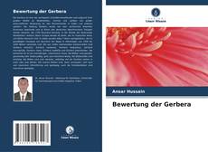Bookcover of Bewertung der Gerbera