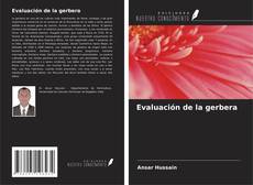 Bookcover of Evaluación de la gerbera
