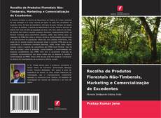 Copertina di Recolha de Produtos Florestais Não-Timberais, Marketing e Comercialização de Excedentes