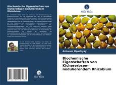 Borítókép a  Biochemische Eigenschaften von Kichererbsen-nodulierendem Rhizobium - hoz