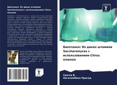 Portada del libro de Биоэтанол: Из диких штаммов Saccharomyces с использованием Citrus sinensis