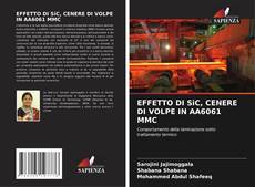 EFFETTO DI SiC, CENERE DI VOLPE IN AA6061 MMC kitap kapağı