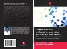 Borítókép a  Síntese, avaliação anticancerígena de novos calcones, triazóis e indolas - hoz