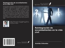 Bookcover of Reintegración de excombatientes en la vida civil