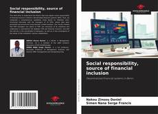 Bookcover of Social responsibility, source of financial inclusion