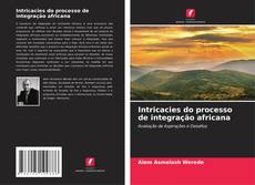 Buchcover von Intricacies do processo de integração africana