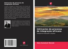 Couverture de Intricacies do processo de integração africana