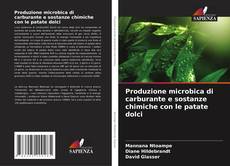 Buchcover von Produzione microbica di carburante e sostanze chimiche con le patate dolci