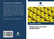 Buchcover von Sicherung von Uran-Gelbkuchen