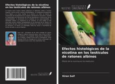 Capa do livro de Efectos histológicos de la nicotina en los testículos de ratones albinos 