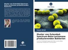 Capa do livro de Muster von Extended-Spectrum-Beta-Lactamase produzierenden Bakterien 