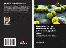 Pattern di batteri produttori di beta-lattamasi a spettro esteso kitap kapağı