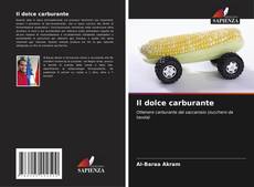 Bookcover of Il dolce carburante