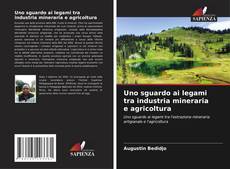 Portada del libro de Uno sguardo ai legami tra industria mineraria e agricoltura
