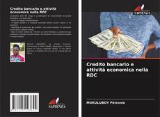 Portada del libro de Credito bancario e attività economica nella RDC