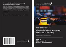 Bookcover of Prevención de la ciberdelincuencia y examen crítico de la ciberley
