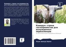 Capa do livro de Камерун: страна гостеприимства для вынужденных переселенцев 