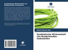 Symbiotische Wirksamkeit von Bradyrhizobia-Inokulanten kitap kapağı