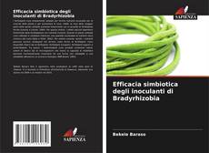 Bookcover of Efficacia simbiotica degli inoculanti di Bradyrhizobia