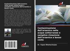 Bookcover of Contaminazione dell'arsenico nelle acque sotterranee e semplice rimozione dell'arsenico a basso costo