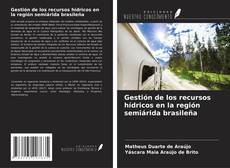 Gestión de los recursos hídricos en la región semiárida brasileña kitap kapağı