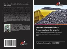 Capa do livro de Impatto ambientale della frantumazione del granito 