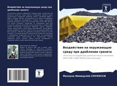Buchcover von Воздействие на окружающую среду при дроблении гранита