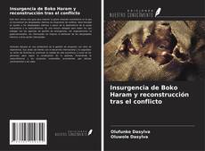 Buchcover von Insurgencia de Boko Haram y reconstrucción tras el conflicto