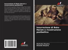 Portada del libro de Insurrezione di Boko Haram e ricostruzione postbellica