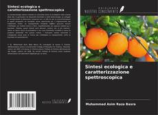 Sintesi ecologica e caratterizzazione spettroscopica kitap kapağı