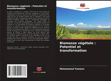 Biomasse végétale : Potentiel et transformation kitap kapağı