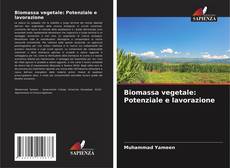 Portada del libro de Biomassa vegetale: Potenziale e lavorazione