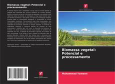 Portada del libro de Biomassa vegetal: Potencial e processamento