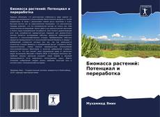 Capa do livro de Биомасса растений: Потенциал и переработка 