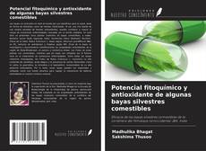 Potencial fitoquímico y antioxidante de algunas bayas silvestres comestibles kitap kapağı
