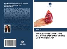 Copertina di Die Rolle des Lim1-Gens bei der Nierenentwicklung von Wirbeltieren